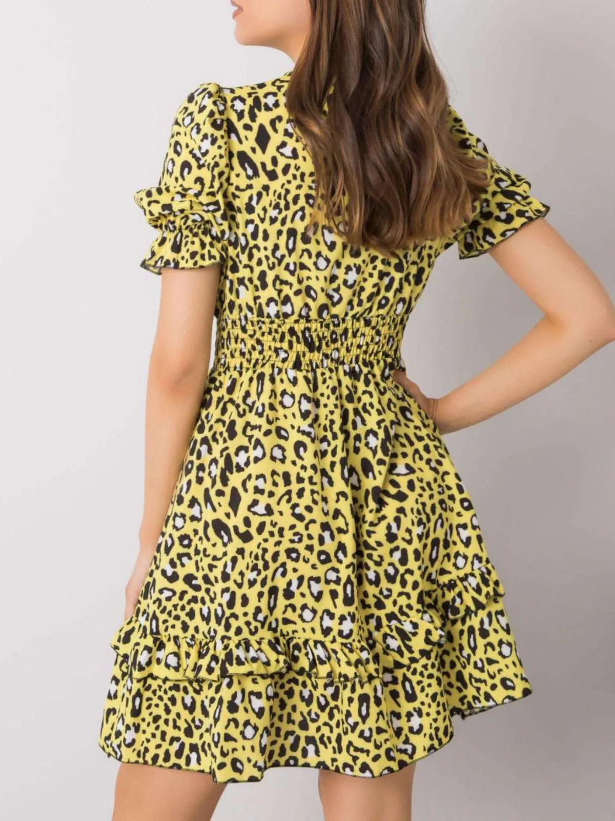 Leopard Print Tie Front Short Sleeve Mini Dress -