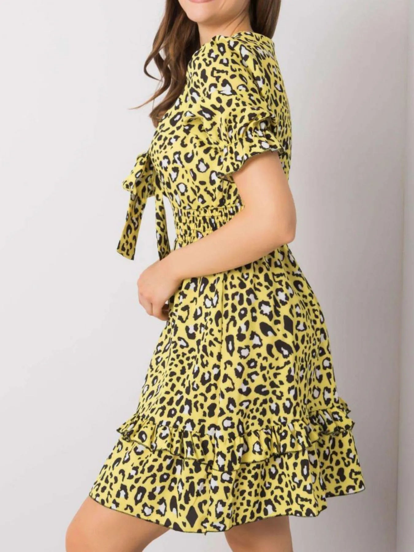 Leopard Print Tie Front Short Sleeve Mini Dress -
