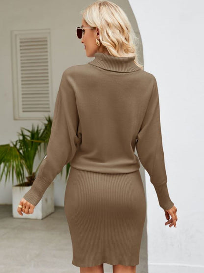 Turtle Neck Long Sleeve Ribbed Sweater Dress | AdoreStarr