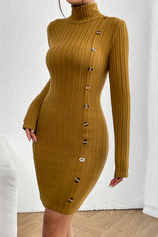 Turtleneck Long Sleeve Mini Dress | AdoreStarr