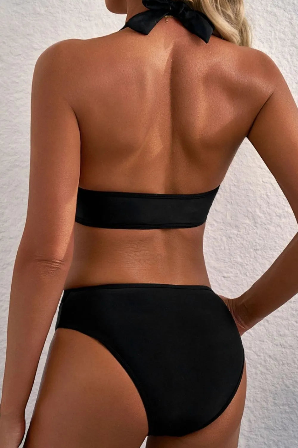 Sheer Mesh Edged Halter V-Neck Push Up Bikini Set -