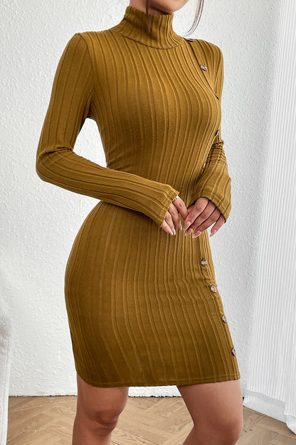 Turtleneck Long Sleeve Mini Dress | AdoreStarr