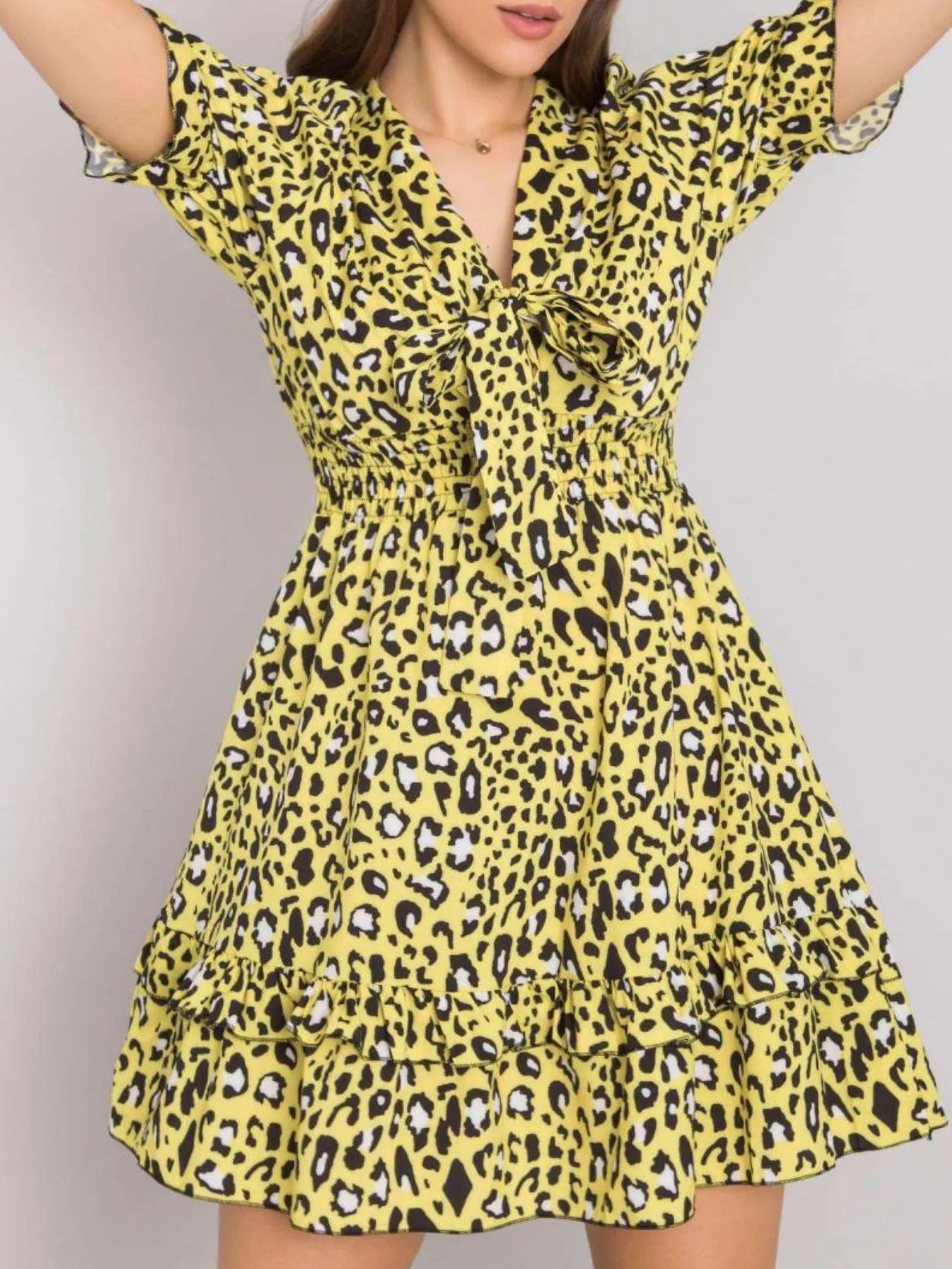 Leopard Print Tie Front Short Sleeve Mini Dress -