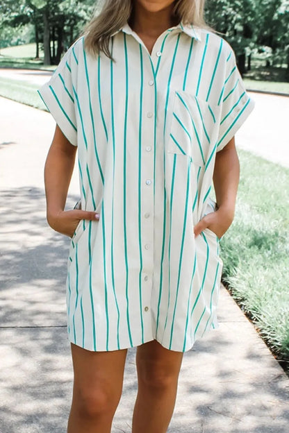 Striped Wide Shift Mini Shirt Dress -