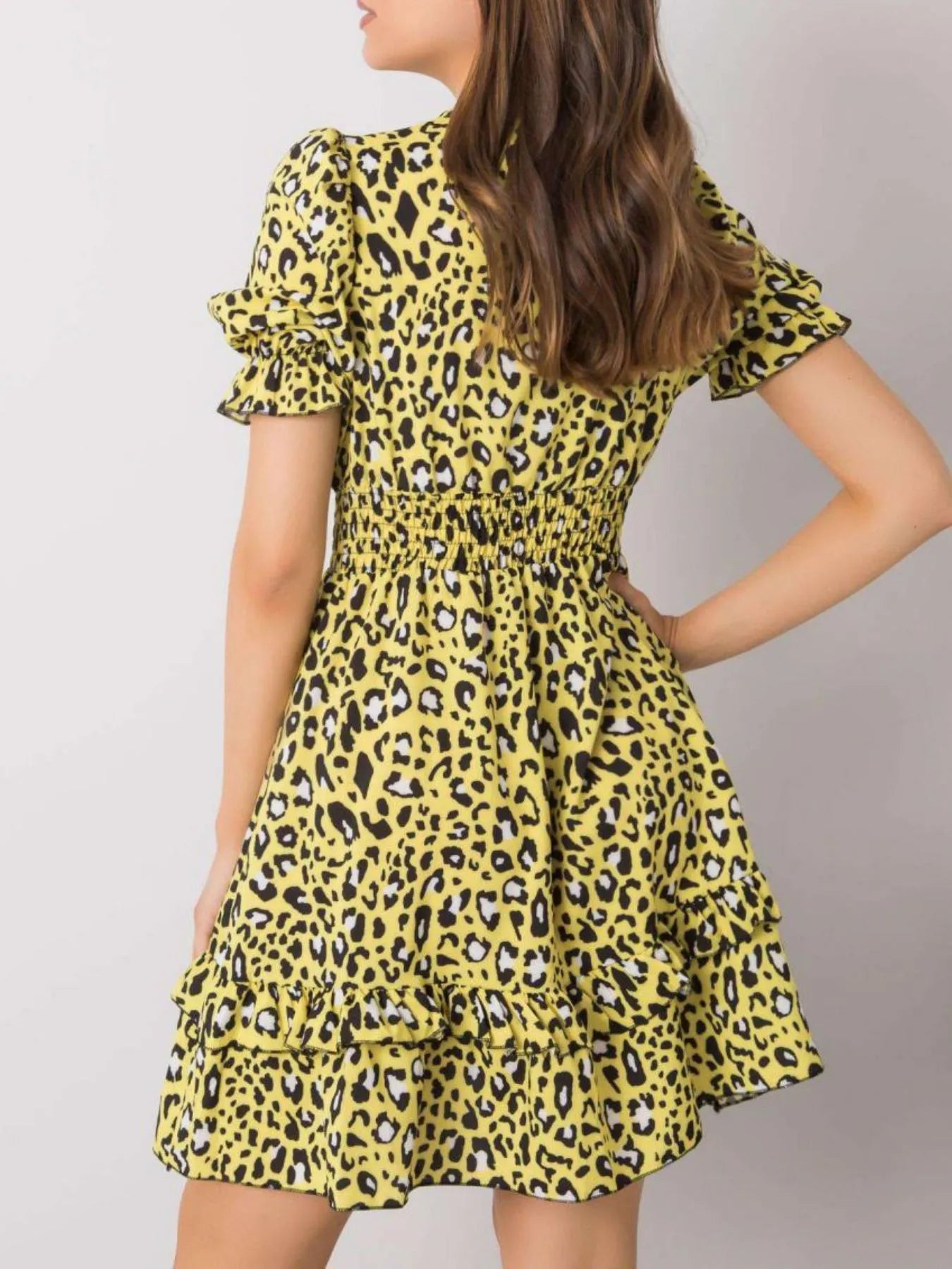 Leopard Print Tie Front Short Sleeve Mini Dress -