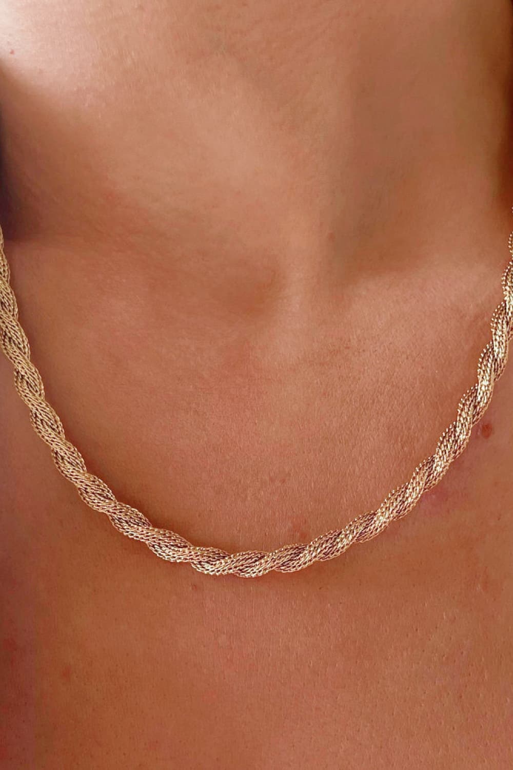 Twisted Stainless Steel Necklace | AdoreStarr