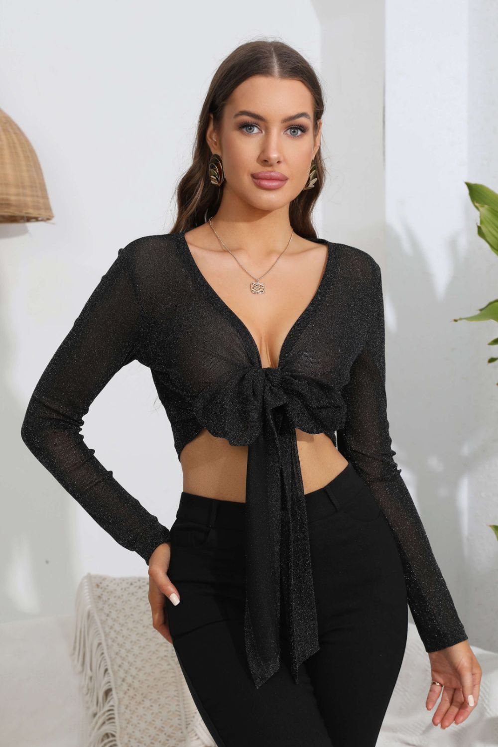 Tie Front Deep V Long Sleeve Crop Top | AdoreStarr